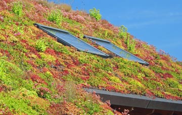 South Hackney living roof systems