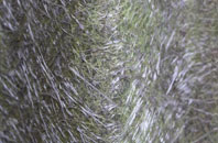 South Hackney fibreglass roof work